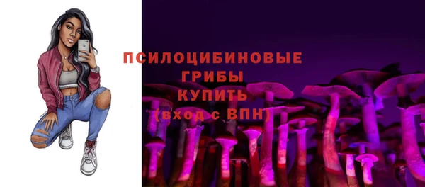 spice Медвежьегорск