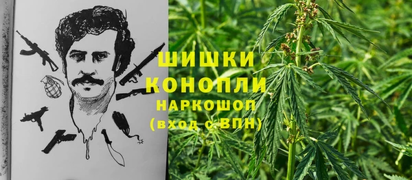 мдпв Майский