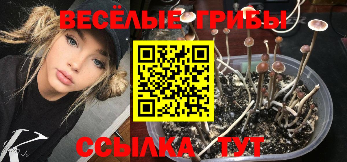 Галлюциногенные грибы Cubensis  Псилоцибиновые грибы Psilocybine cubensis  Красный Сулин 