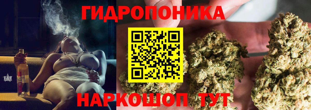 Бошки марихуана SATIVA & INDICA  Красный Сулин  Марихуана OG Kush  Марихуана тримм 